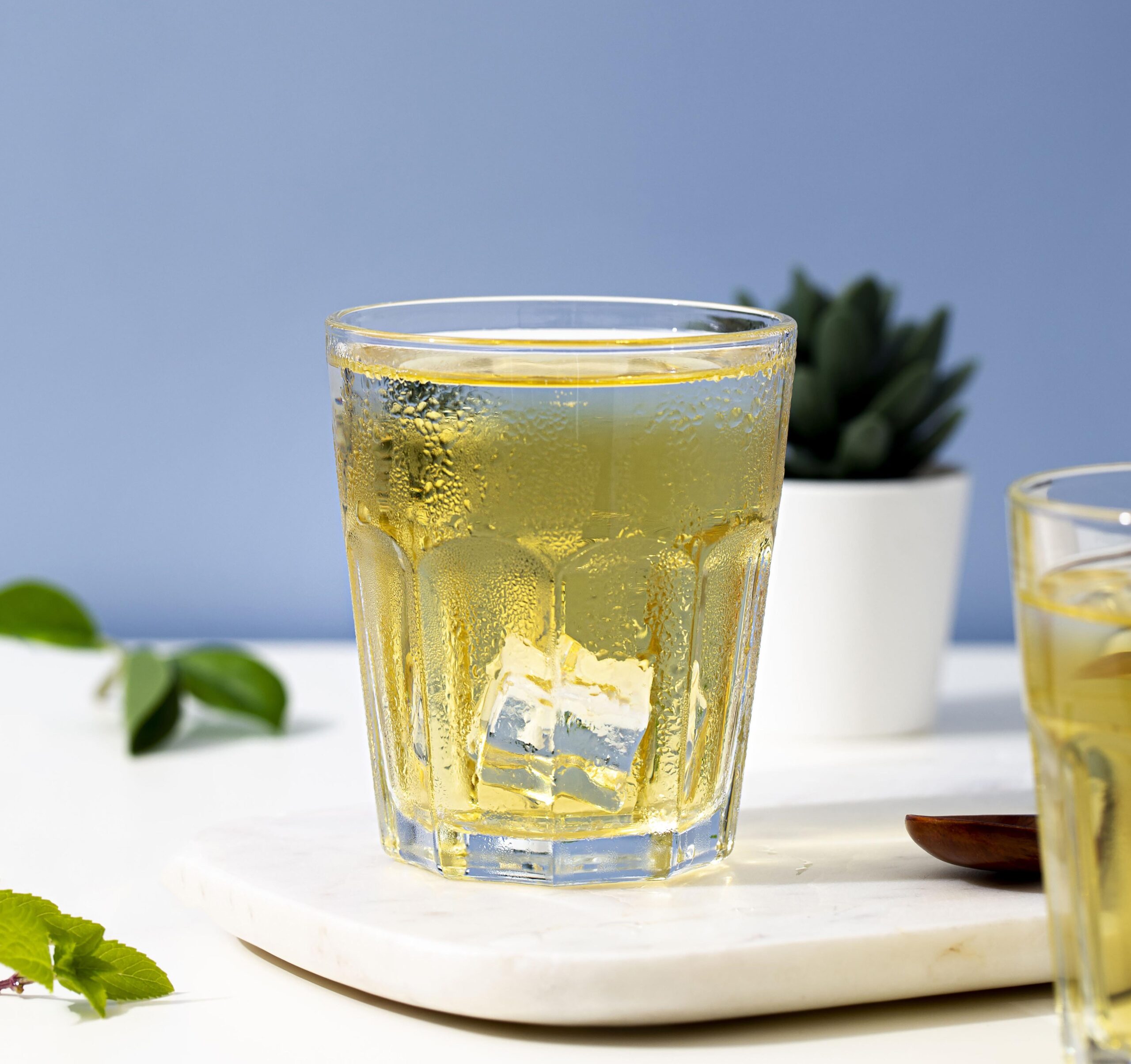 hilled green tea shot in a clear glass, highlighted by natural lighting against a modern backdrop with a succulent plant, exemplifying a refreshing and healthy beverage option for green tea enthusiasts and health-conscious individuals.